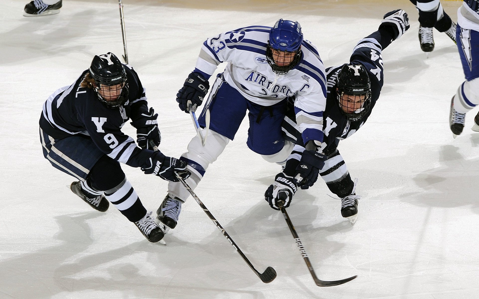 欧洲足球竞技赛事热火朝天,球迷狂热追赶,欧洲各种足球赛事